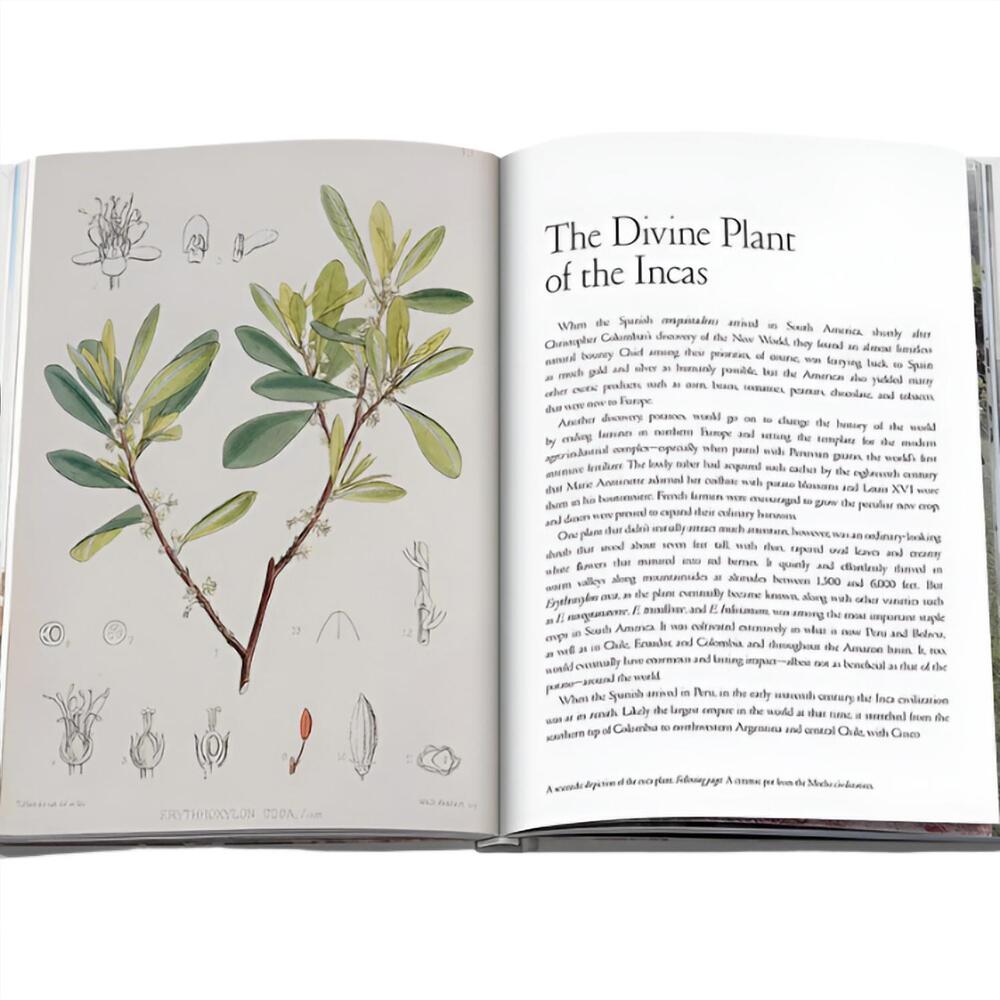NEW ASSOULINE cocain: history & culture icons book in white